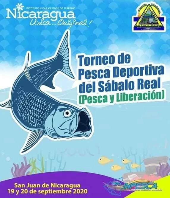 Afiche de torneo de pesca 12