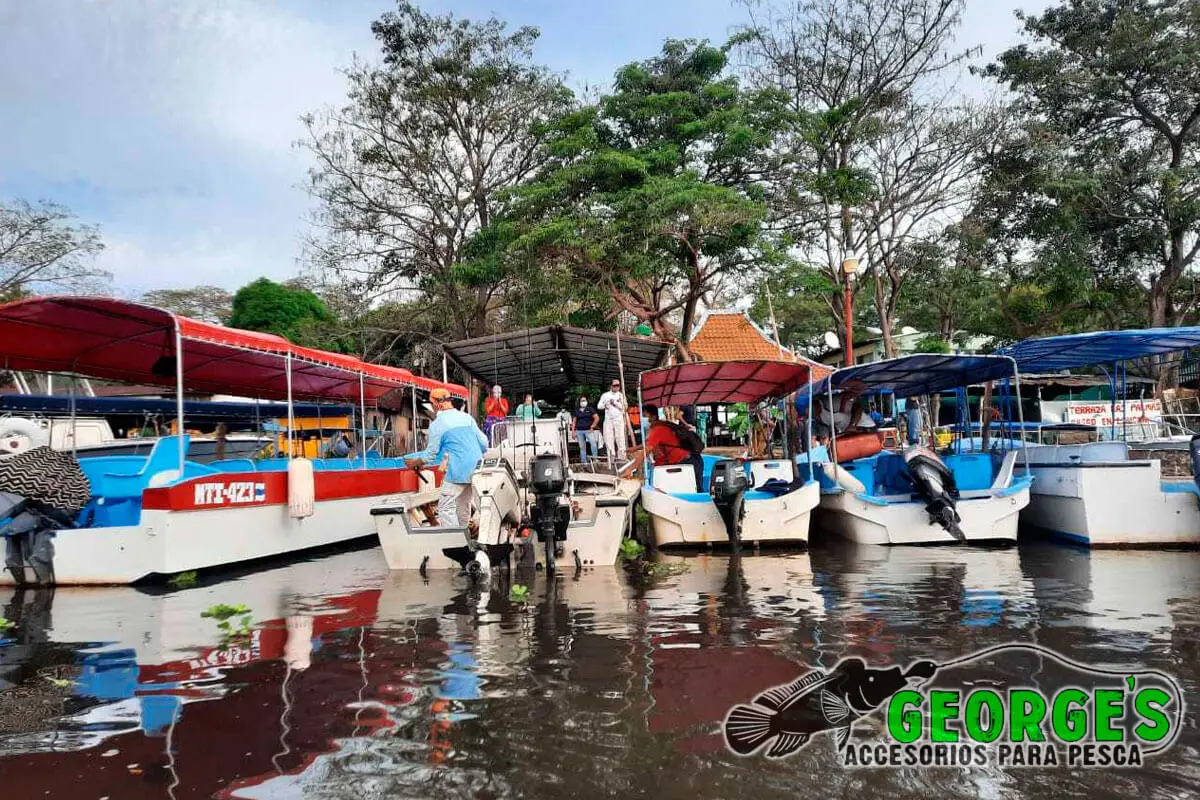 Torneo de Lago a Lago 2021, foto 23