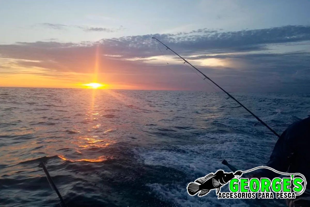 Pesca entre amigos, foto 11